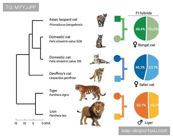 登贝莱与萨拉赫在快速反击中展现前插频率分化趋势